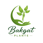 ChatGPT Image Jan 17, 2026, 10_22_30 AM