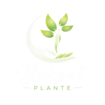 Untitled design(144)