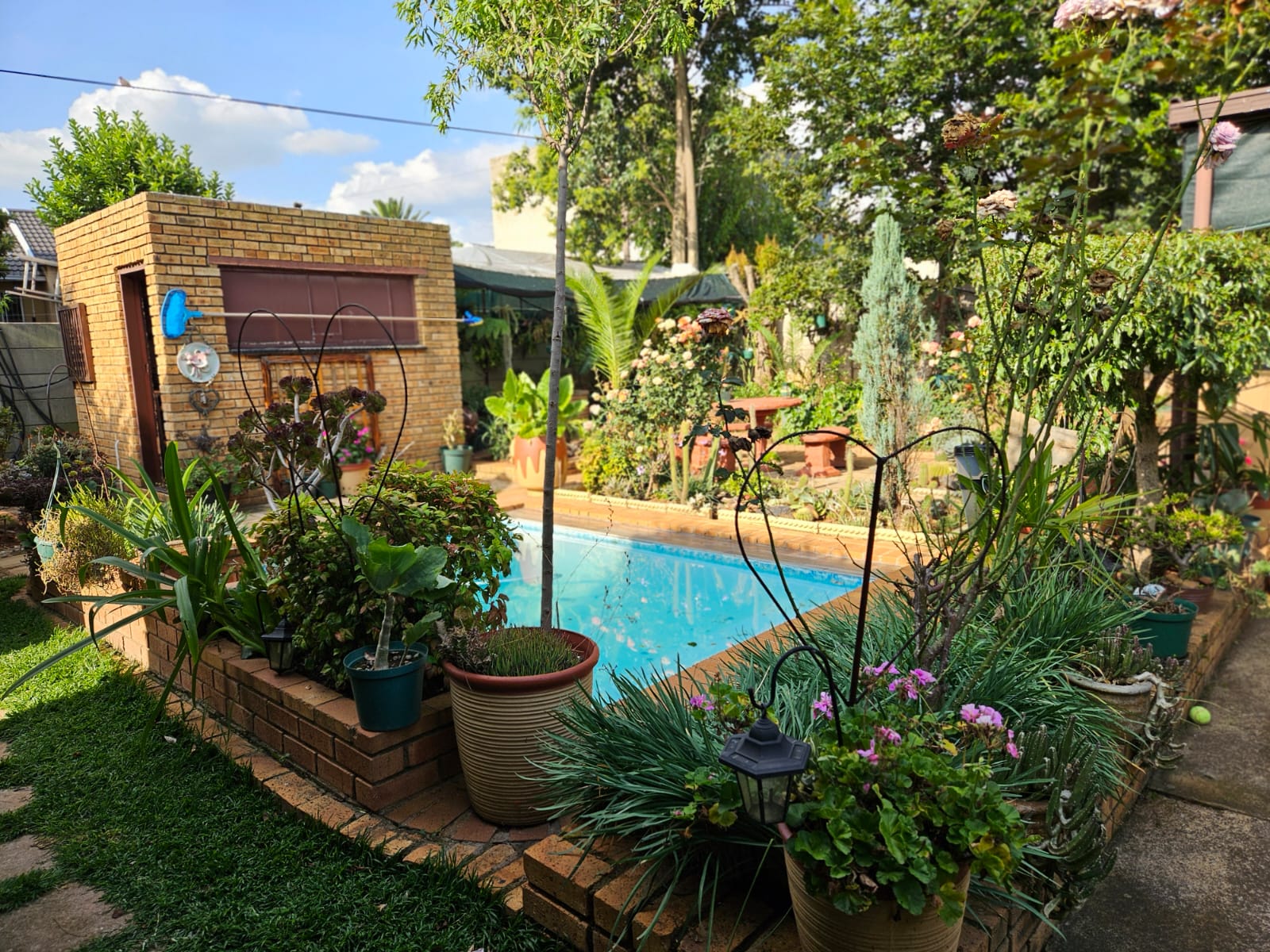 WhatsApp Image 2026-01-16 at 16.40.21 (1)